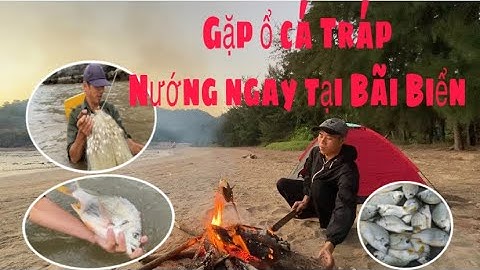 Ra Biển Đánh Lưới Gặp Ổ Ca Tráp Và Nướng Mọi Tại Bãi Biển| KÊNH ANH EM |
