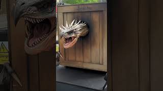 #harrypotter #magic #wizard #dragon #edinburgh #scotland #explore #fun #summer #anniversary #reels