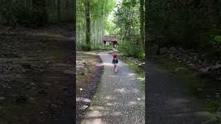 竹林を歩く　2歳5ヶ月