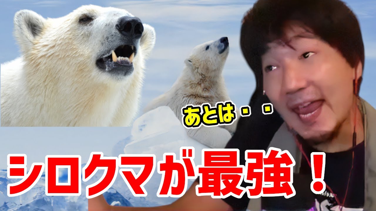ウメハラ 動物界の5神について語る ウメハラ シロクマ信者です 切り抜き Youtube