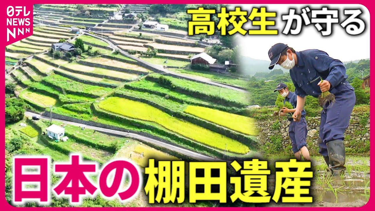 【世界に誇る美しさ】歴史ある