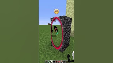 Broken Nether Portals vs Forbidden Emoji Reaction #meme #shorts #minecraft