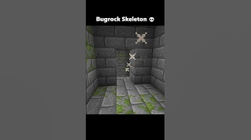 Minecraft Java Skeleton vs Bedrock Skeleton 🤡 (Let Me Know) #shorts #minecraft