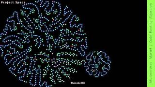 Genetic Coding