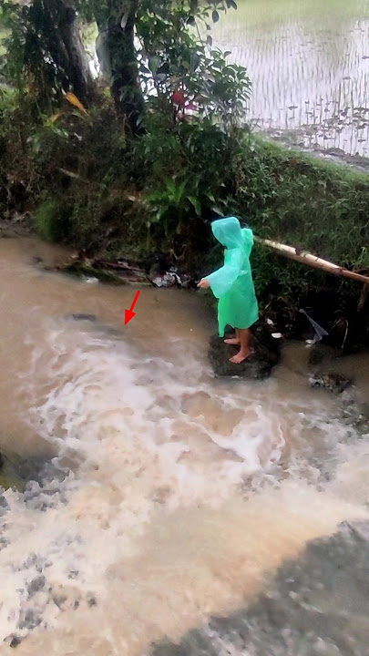 sepintas bikin ngeri‼️melihat sekelebat yg hitam tepat di samping pemancing itu #shorts