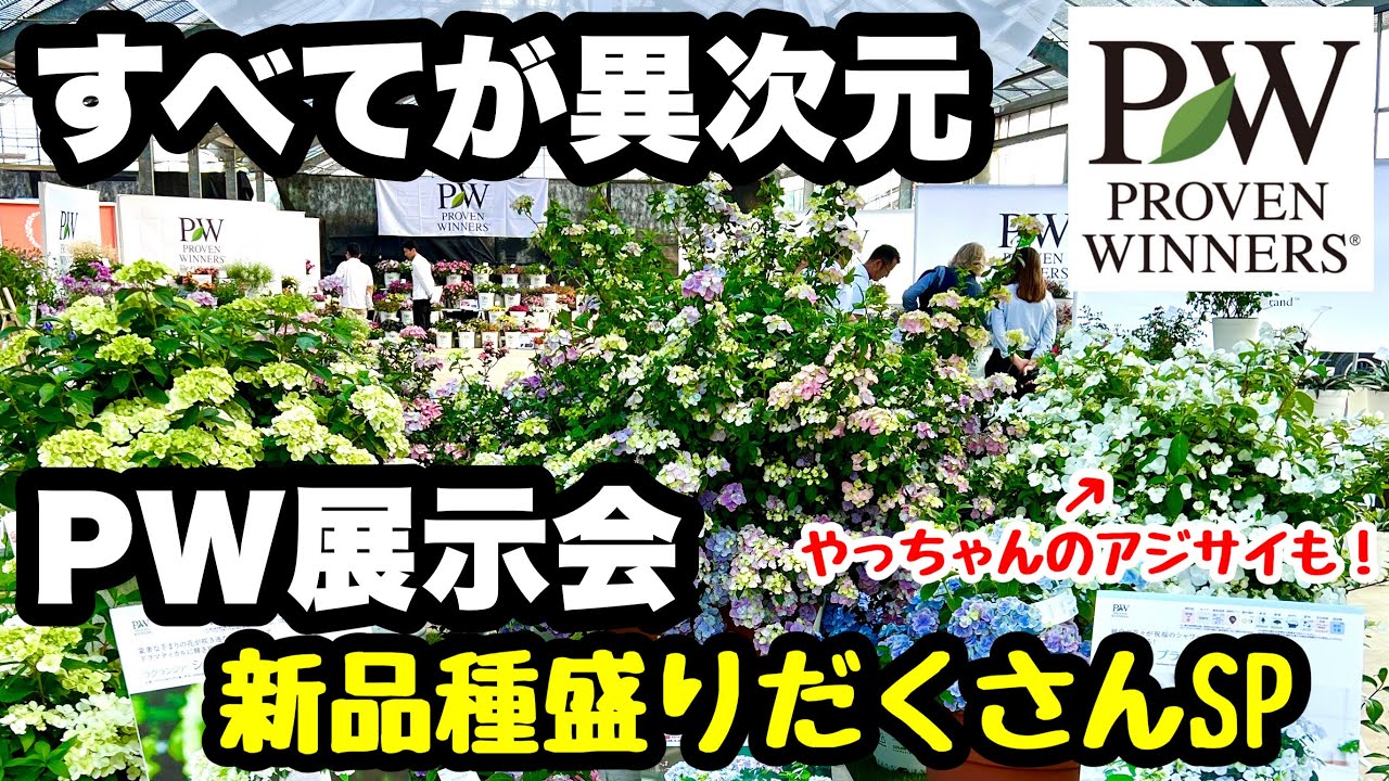 ねこもようそん専用』スペシャルセット！ゆるふわ園芸やっ