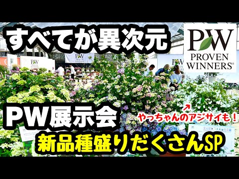 ◇ Amazing new varieties appear one after another! This year