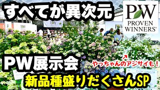 ◆ビックリする様な【新品種】続々登場今年も凄かった。