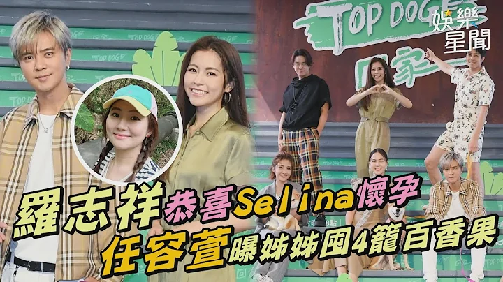 羅志祥恭喜Selina懷孕　任容萱曝姊姊囤4籠百香果｜三立新聞網 SETN.com - 天天要聞