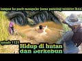 lompat ke parit mengejar joran pancing di seret ikan warta petani muda hidup di hutan