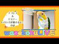 わせこふLIVE#268 参加するイベントやセミナーの話をするよ!