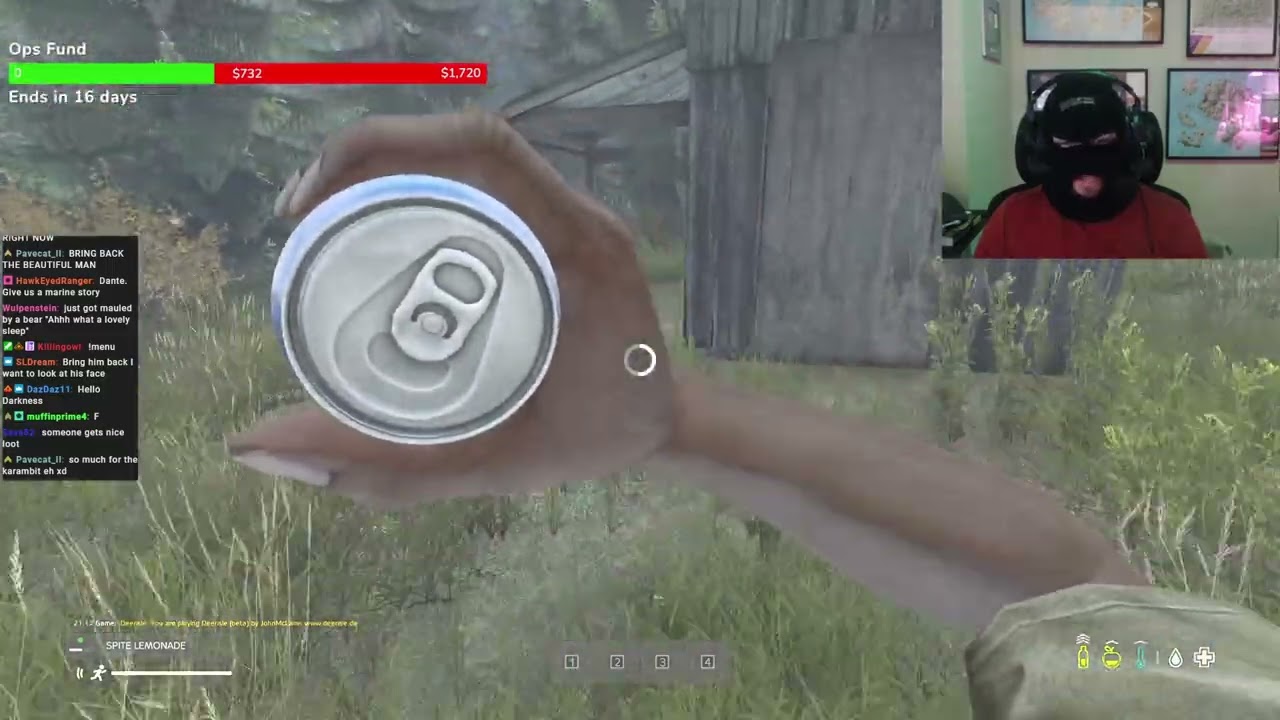 Клипы DayZ вне контекста