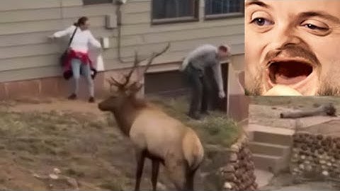 Forsen reacts to Tourists and #IDIOCRACY 5