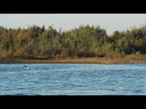 Vídeo: Com Preservar La Bellesa De La Natura