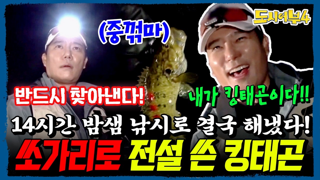 14시간 밤샘 낚시 끝에 결국 해냈다! 😱 킹태곤, 쏘가리로 전설 완성 | 도시어부4 18회