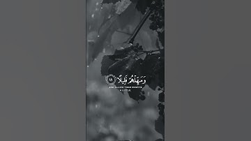 واصبر على ما يقولون - القارئ { عبدالرحمن مسعد }
