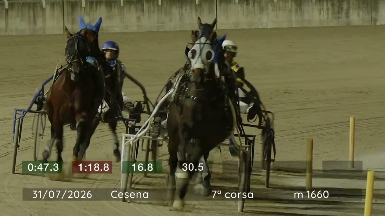 2026 07 31 | Corsa 7 | Metri 1660 | Premio Duca Di Valentino
