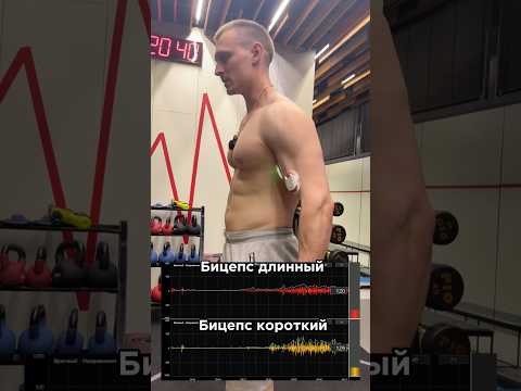 Бицепс и миограф.За персональным планом обращаться в телеграмм:@TrainerSmirnoVV