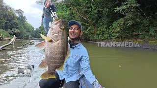 Menaklukkan Perlawanan Predator Air Tawar | MANCING MANIA STRIKE BACK (01/08/26) P3