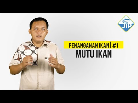 Video: Bagaimana Ikan Diuji Untuk Kontaminasi