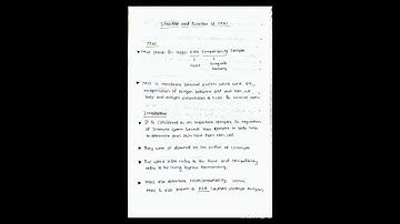 Structure and function of mhc in biotechnology ll Major Histocompatibility Complex (MHC) Classes