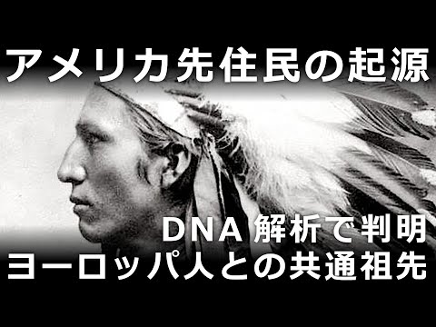 アメリカ先住民の起源～古代人DNA解析の進展で明らかになったヨーロッパ人とアメリカ先住民の共通祖先、古代北ユーラシア人の存在～