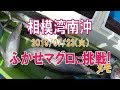 【活き餌カツオマグロ船】相模湾南沖ふかせマグロに挑戦メモ！(2019/07/23)長三朗丸