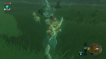 Cemu 1.16.1 - Zelda Breath of the Wild - 72fps - Vulkan - Ryzen 3700X - GTX 1070