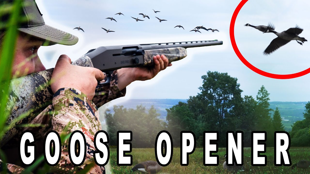 2021 EARLY GOOSE SEASON OPENER Testing the NEW Mossberg 940 Pro
