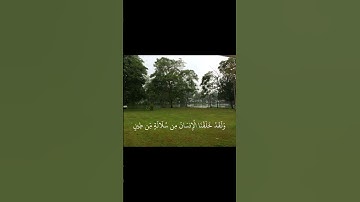 محمد اللحيدان - سورة المؤمنون.    #quran #fyp