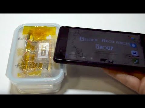 Food Freshness Sensor Test