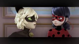 There's a Hole In Adrien's Heart I Miraculous Ladybug AMV
