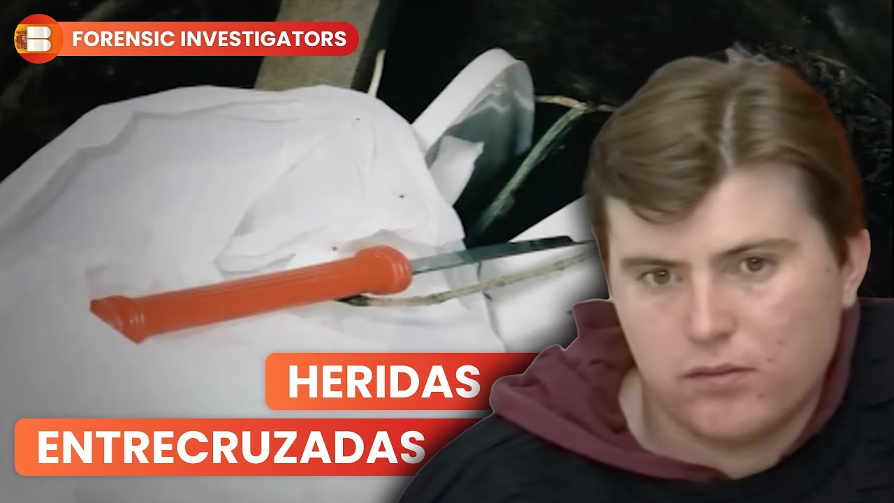El Brutal Asesinato de Elizabeth Stevens Parque Lloyd