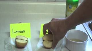 LAB ASSIGNMENT 4