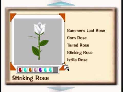 Toontown Flower Chart