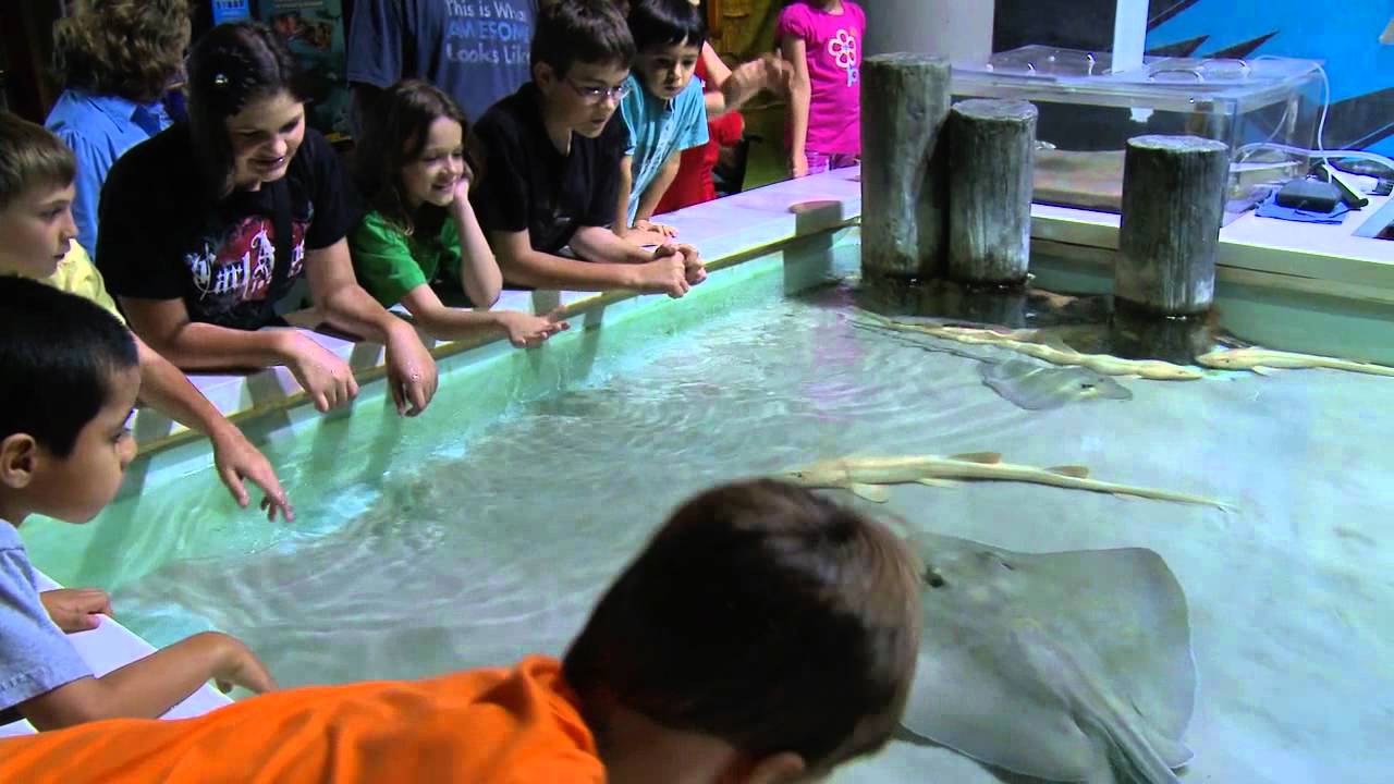 Explore Tulsa - Oklahoma Aquarium Summer 2011