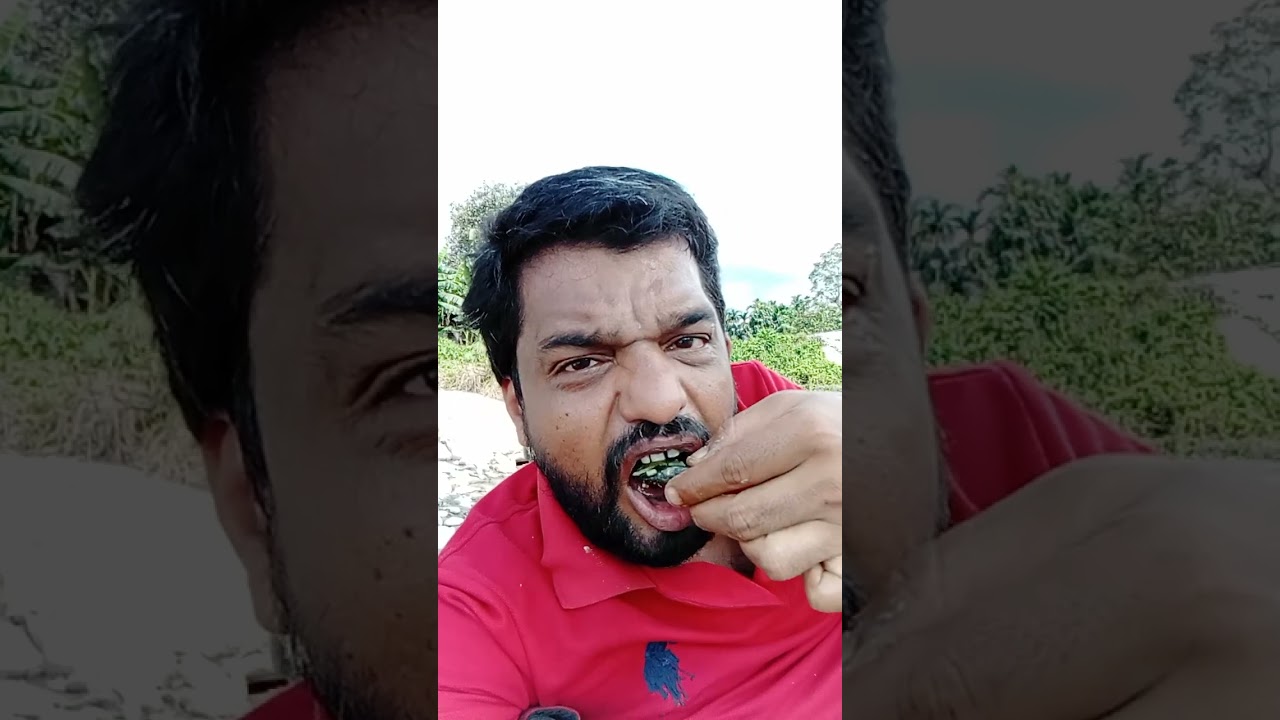 eating noodles riverside