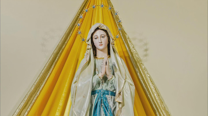 Sie können das Abendgebetsprogramm aus der Kirche des hl. Jakobus mitverfolgen