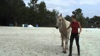 Walk video.wmv