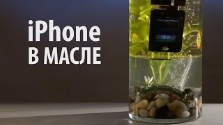 iPHONE В МАСЛЕ, а заодно и опыт с плотностью