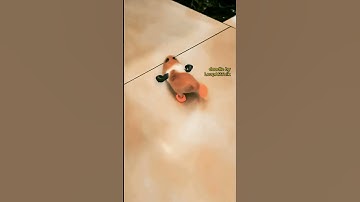 🫣🫣🫣 HAMSTERRUPTED BY A SCRATCH ATTACK 🫣🫣🫣  #leopartnik