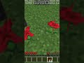 Rip iron golem #Minecraft