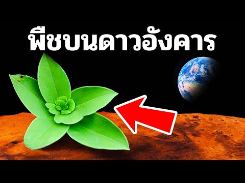 วีดีโอ: ดาวอังคารเกี่ยวข้องกับเคมีอย่างไร?