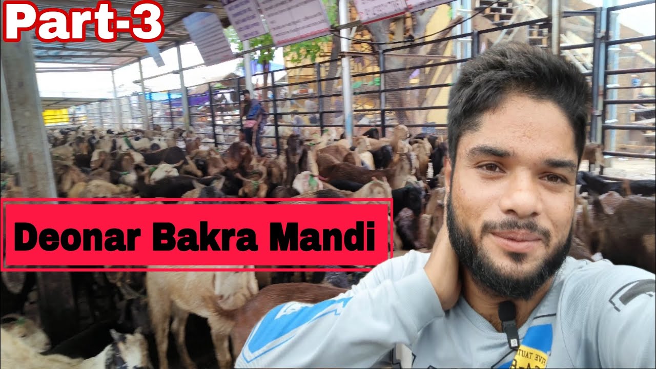 Deonar Bakra Mandi Govandi latest update| Asia's Biggest Bakra Mandi at ...