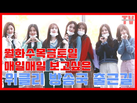 위클리, 월~일 매일매일 리즈 갱신하는 미모의 여신돌 출근길
