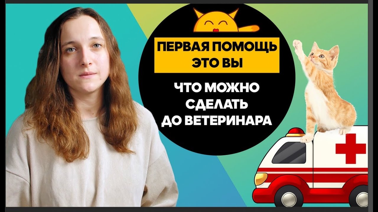 Первая Помощь Для Животных - Это Вы! Что Делать Пока Рядом Нет Ветеринара?