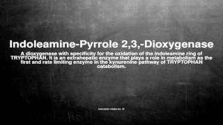 Medical vocabulary: What does Indoleamine-Pyrrole 2,3,-Dioxygenase mean