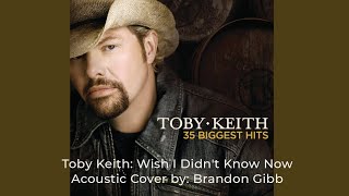 Toby Keith:  Wish I Didn't Know Now { Toby Keith acoustic cover } by: Brandon Gibb