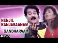 Nenjil Kanjabaanam Full Audio Song | Gandharvam | Mohanlal