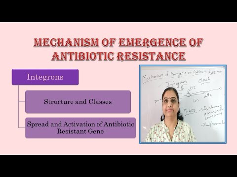 Video: Efluenții De Canalizare Dintr-un Spital Indian Adăpostesc Noi Carbapenemaze și Gene De Rezistență La Antibiotice Transmise De Integroni